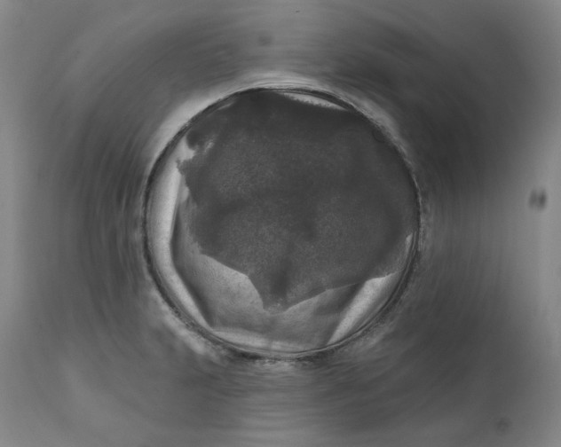 X0000111641231200908071334