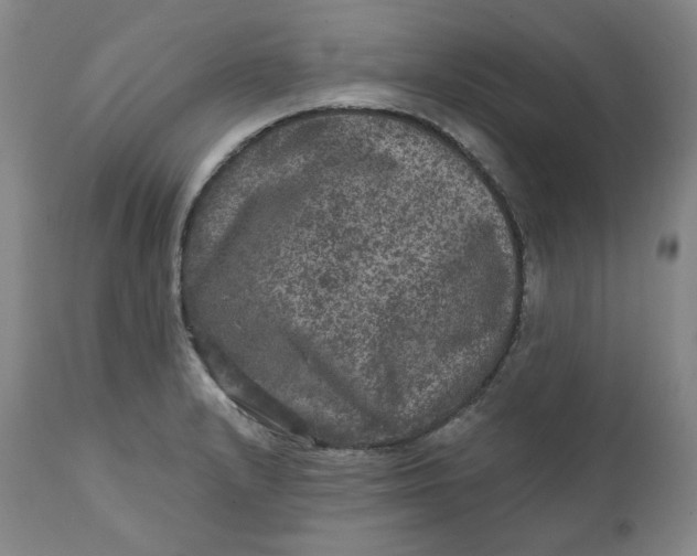 X0000111641232200908071334