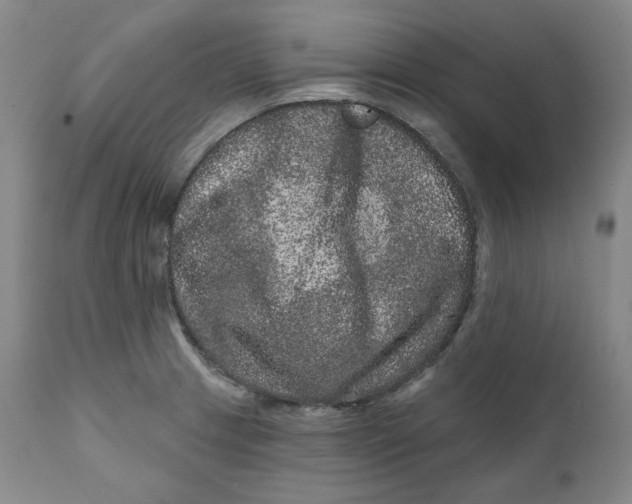 X0000111641233200908071334