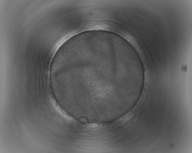 X0000111641234200908071334