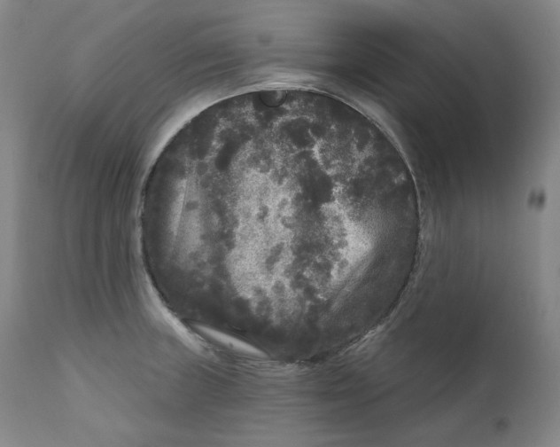 X0000111641235200908071334