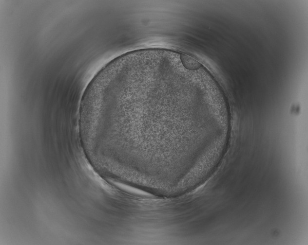 X0000111641236200908071334