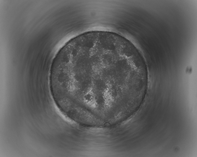 X0000111641237200908071334