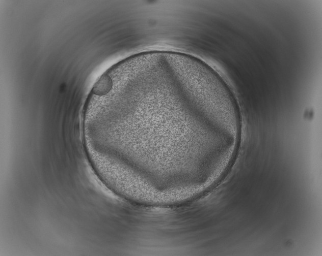 X0000111641238200908071334