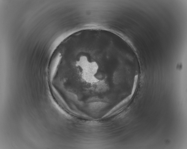 X0000111641239200908071334