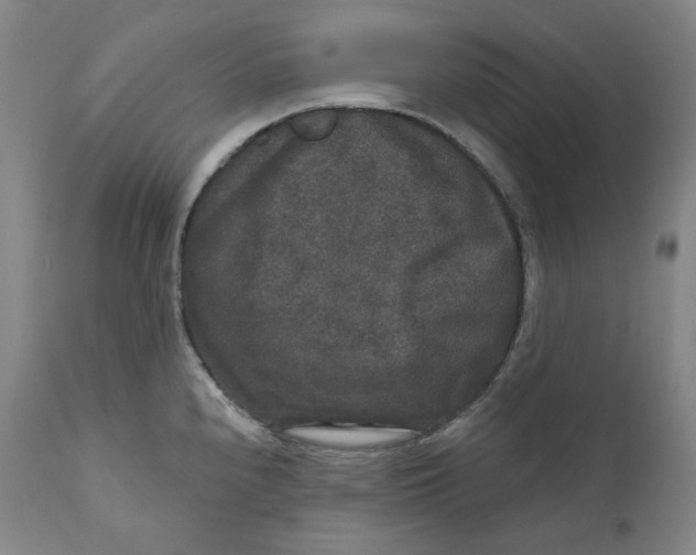 X0000111641240200908071334