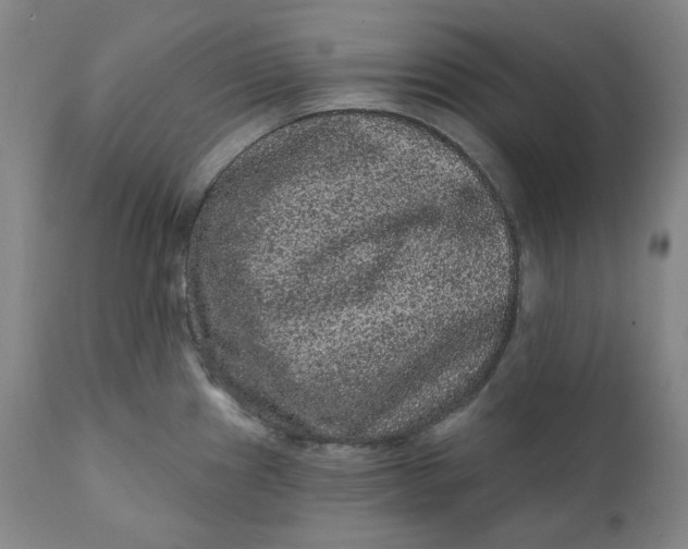 X0000111641241200908071334