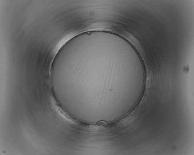 X0000111641242200908071334