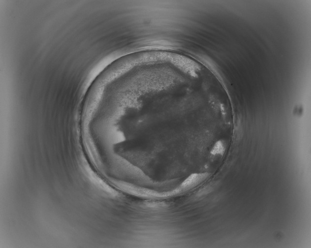 X0000111641243200908071334