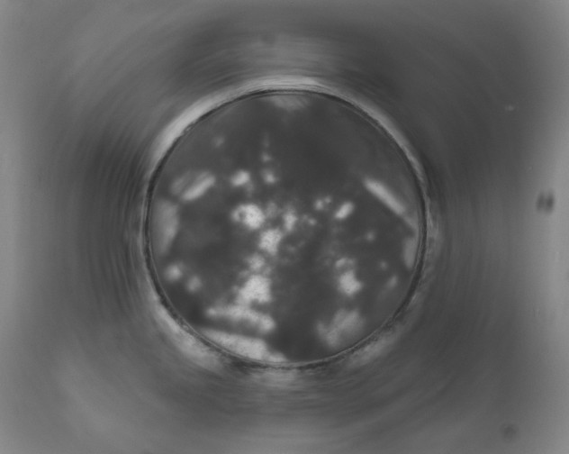 X0000111641245200908071334