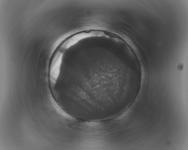 X0000111641246200908071334