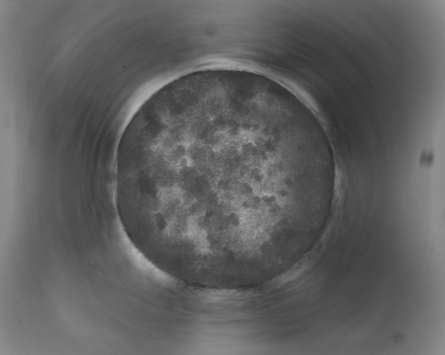 X0000111641247200908071334