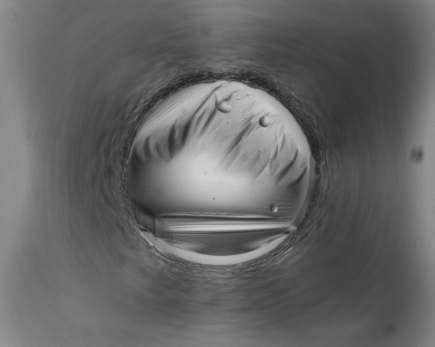 X0000111641249200908071334