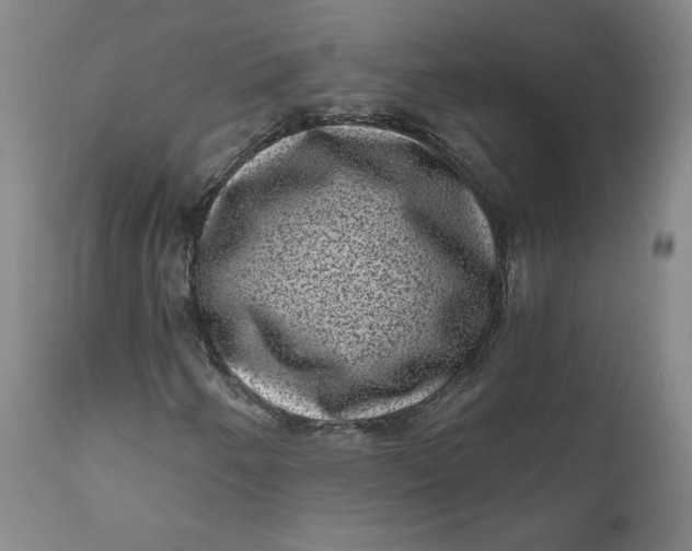 X0000111641250200908071334