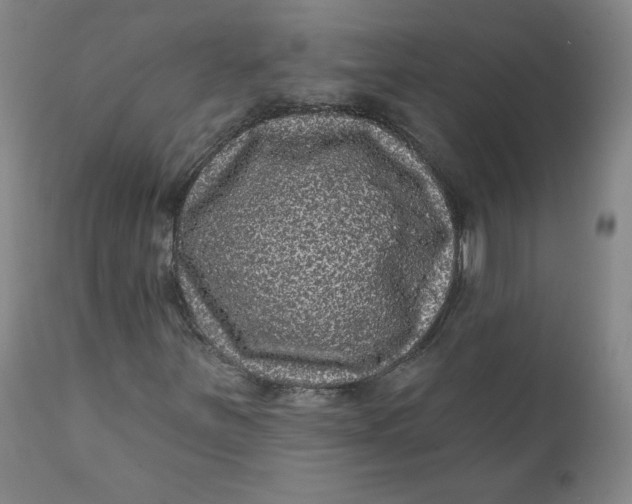 X0000111641251200908071334