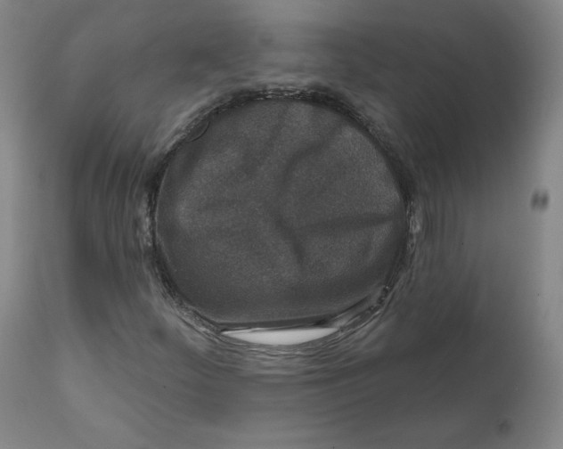 X0000111641252200908071334