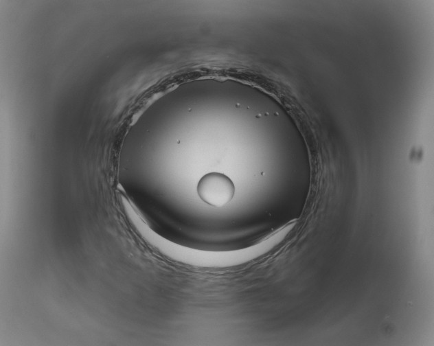 X0000111641253200908071334