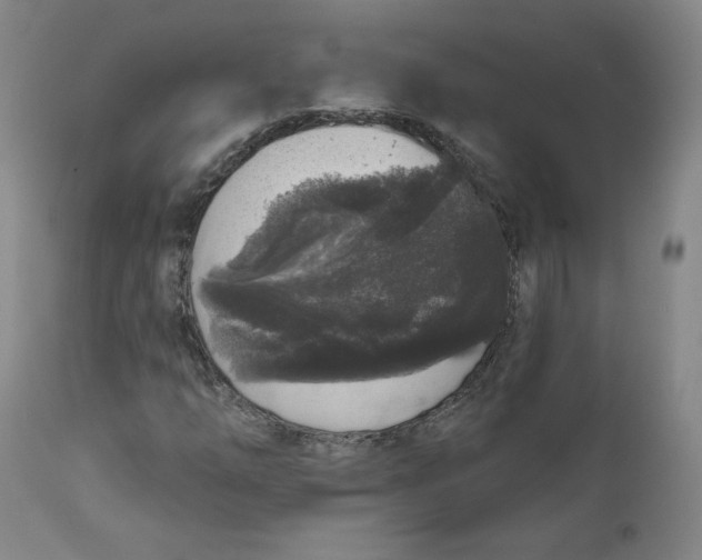 X0000111641254200908071334