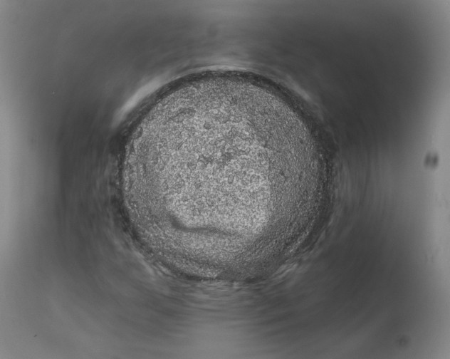 X0000111641255200908071334