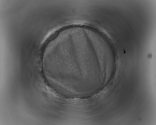 X0000111641256200908071334