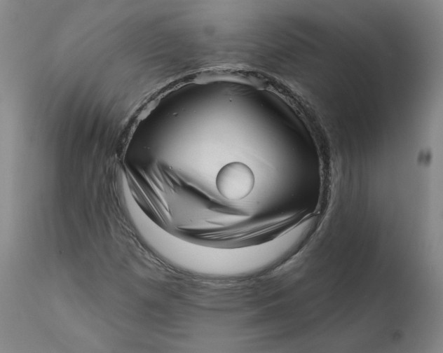 X0000111641257200908071334