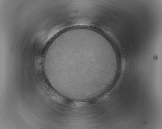 X0000111641258200908071333