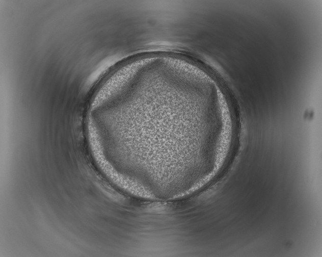 X0000111641259200908071333