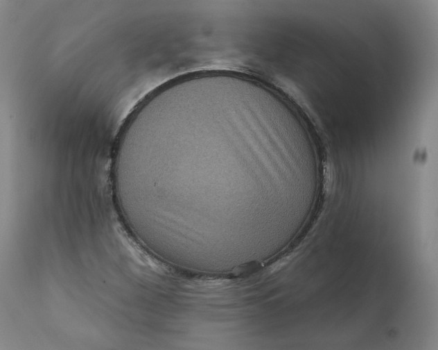 X0000111641260200908071333