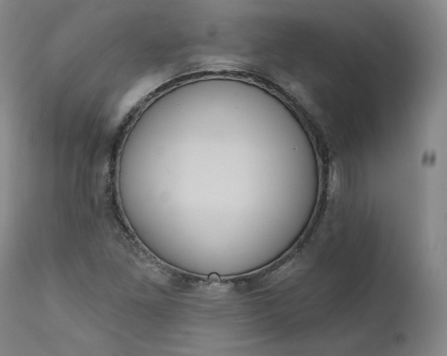 X0000111641261200908071333