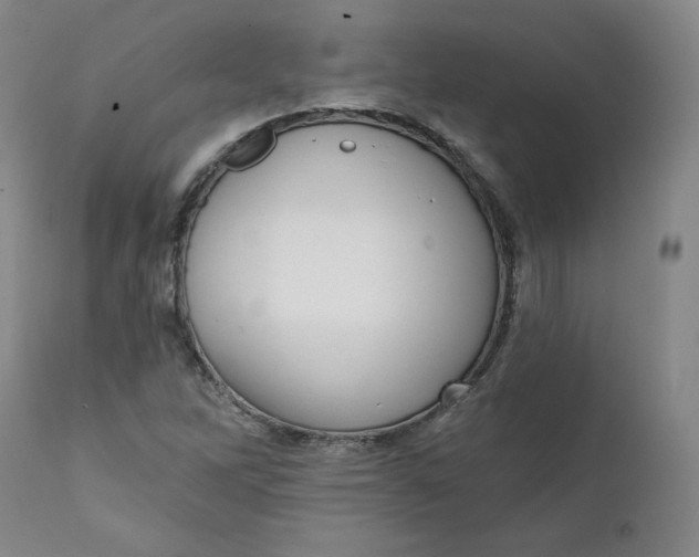 X0000111641262200908071333