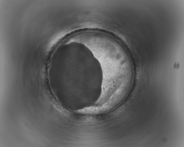 X0000111641263200908071333