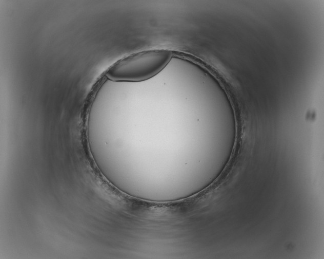 X0000111641264200908071333