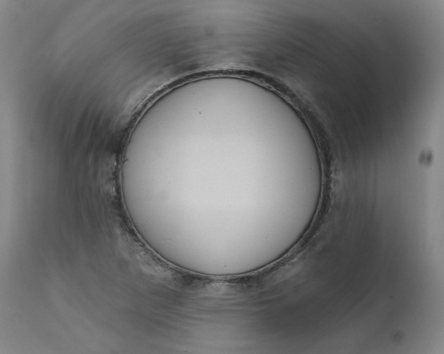 X0000111641265200908071333