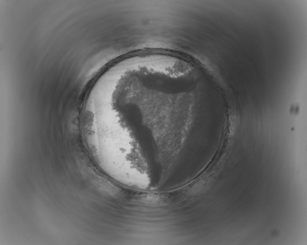 X0000111641266200908071333