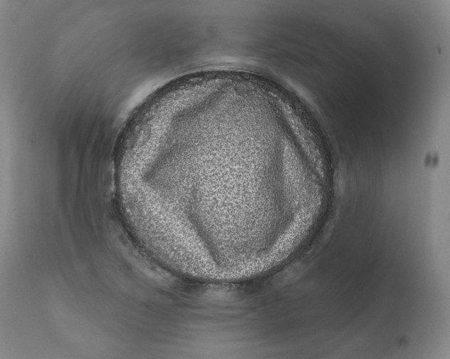 X0000111641267200908071333