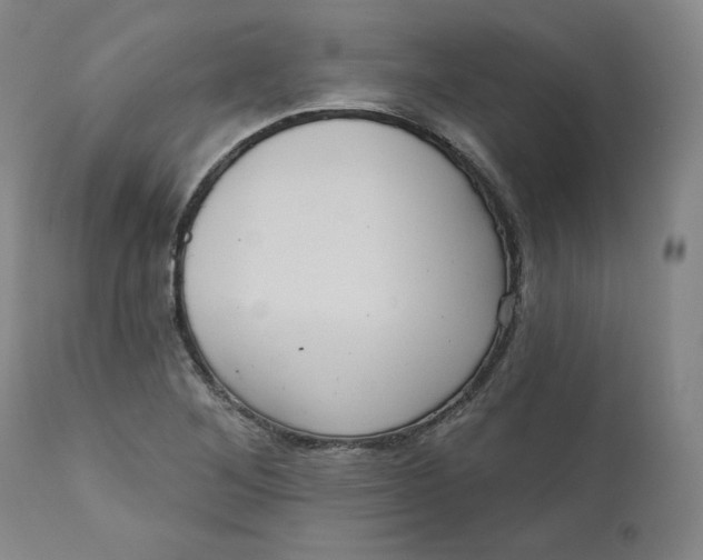 X0000111641268200908071333