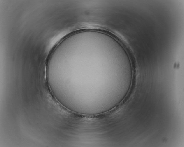 X0000111641269200908071333