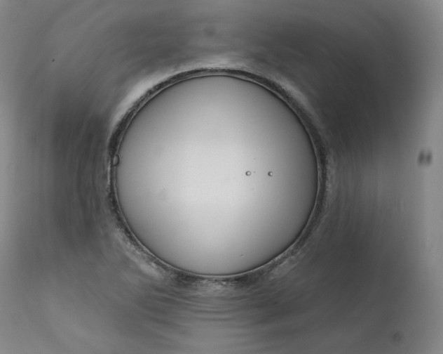 X0000111641270200908071333