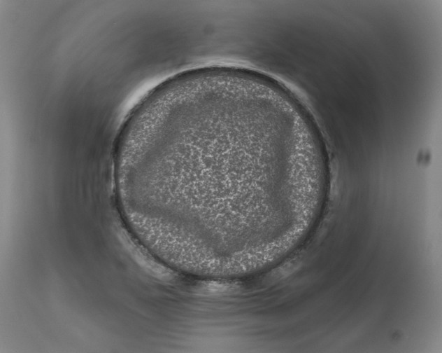 X0000111641271200908071333