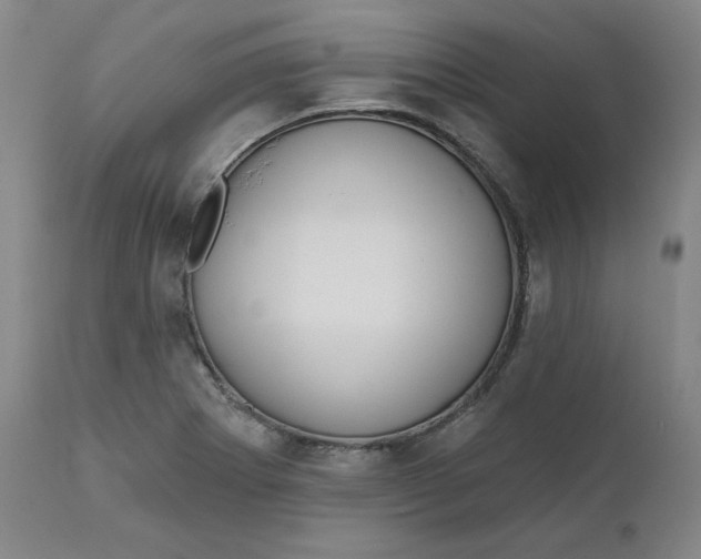 X0000111641273200908071333