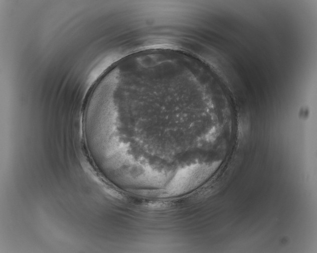 X0000111641274200908071333