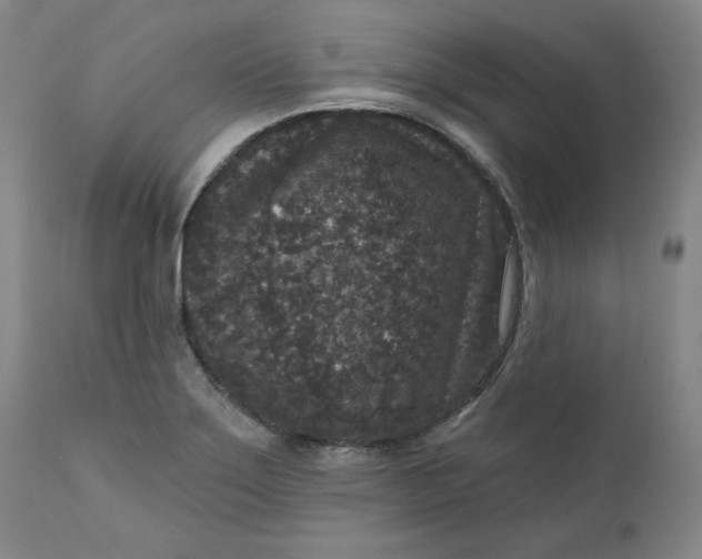 X0000111641275200908071333