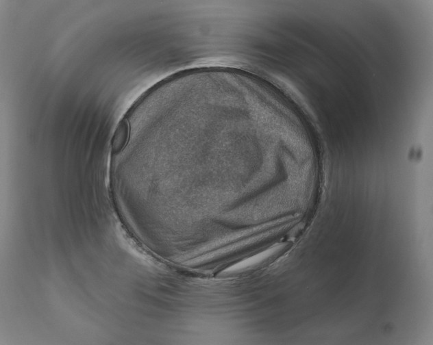 X0000111641276200908071333