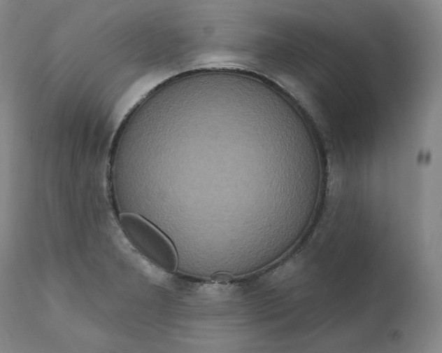 X0000111641277200908071333