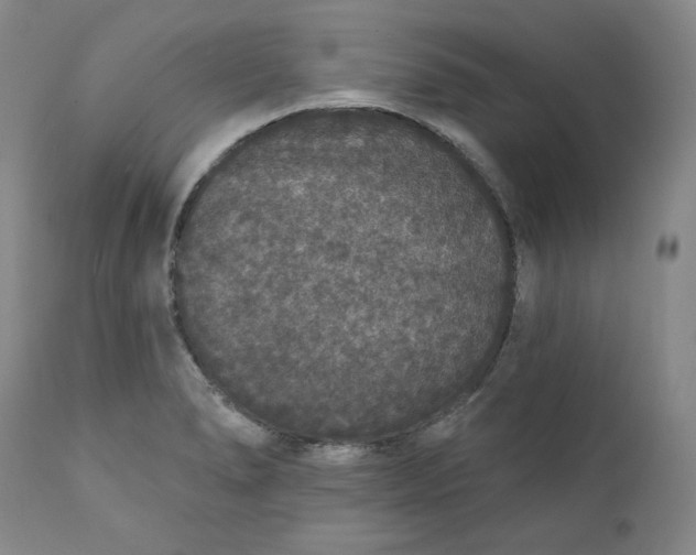 X0000111641278200908071333