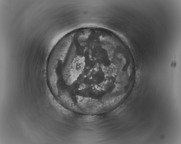 X0000111641279200908071333