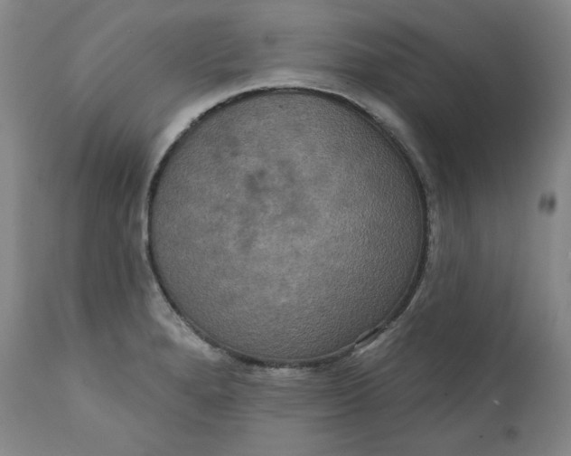 X0000111641280200908071333