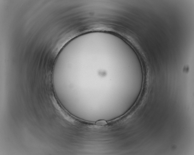 X0000111641281200908071333