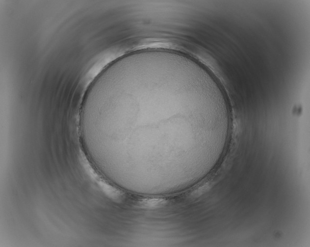 X0000111641282200908071333