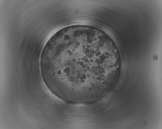 X0000111641283200908071333